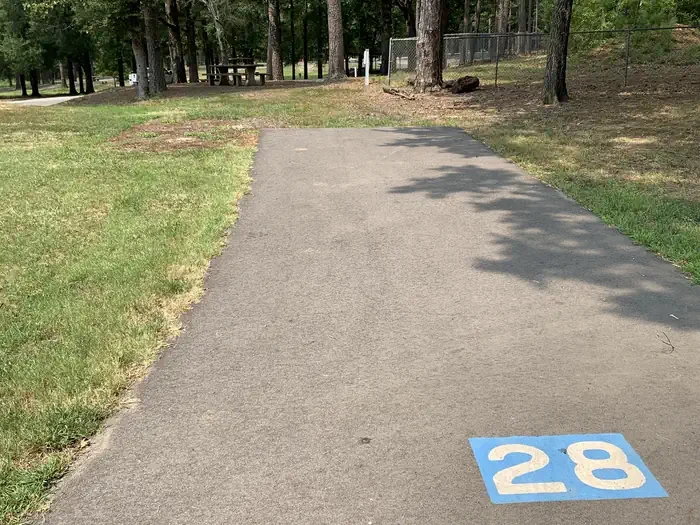 28