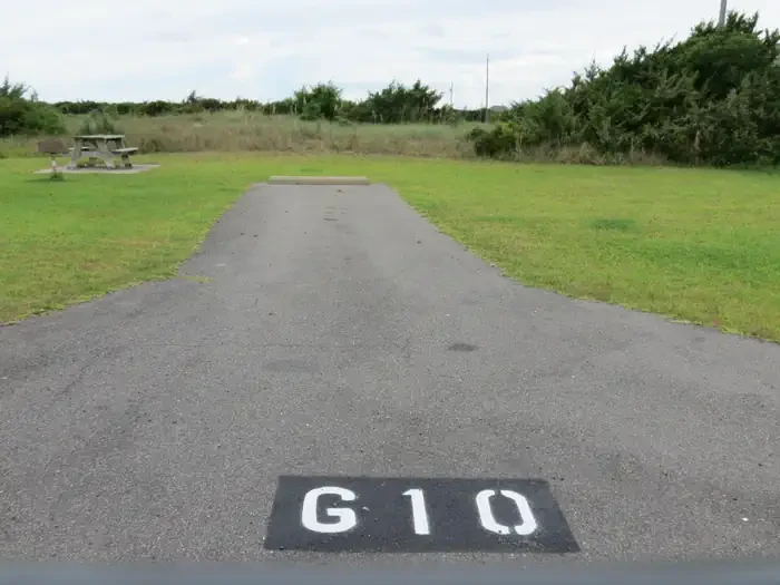 G010