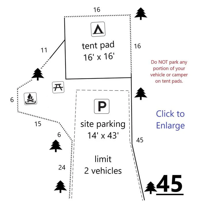 45