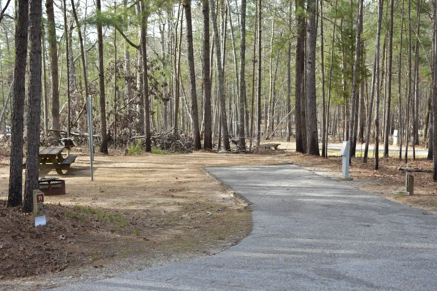 71