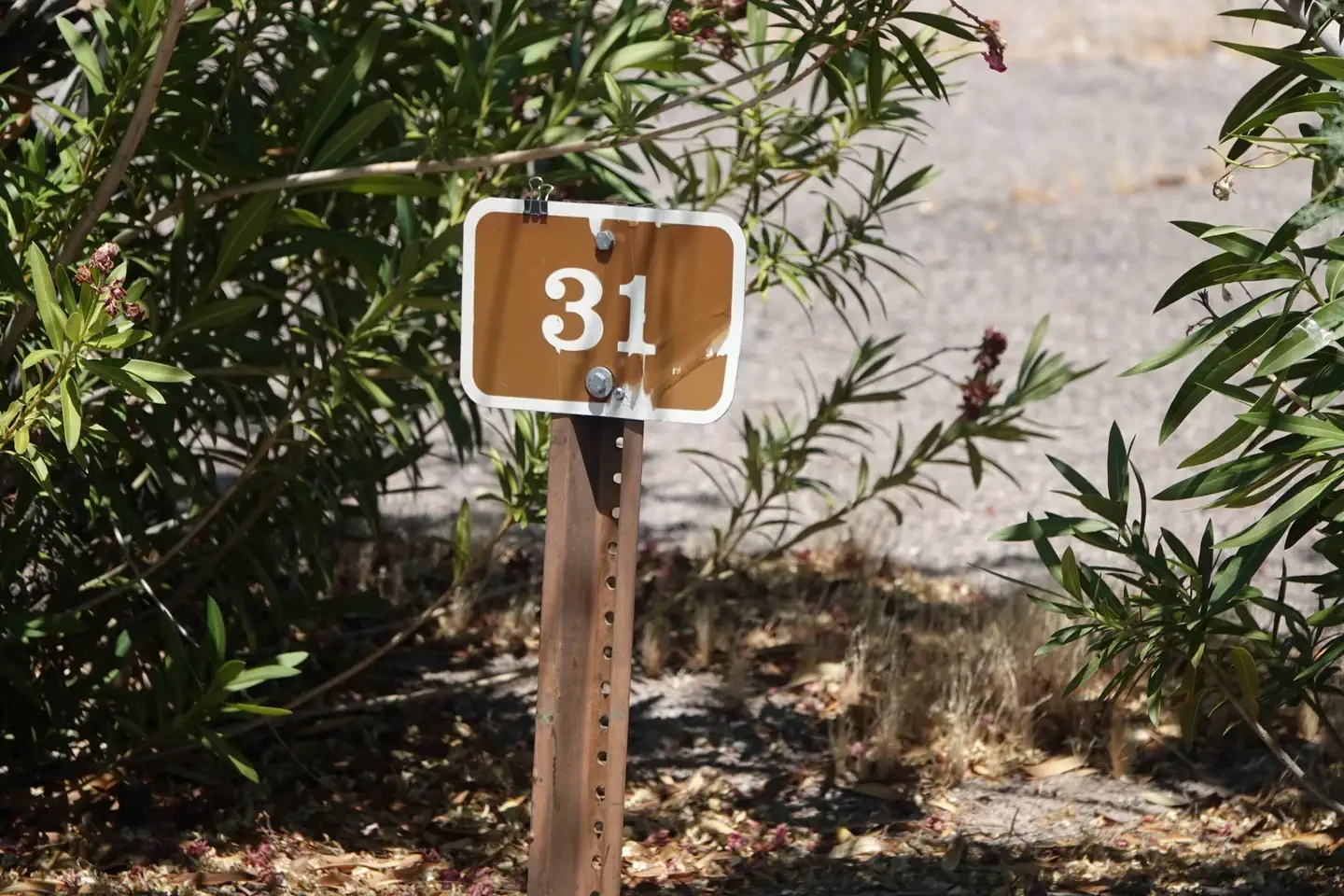 Site 31