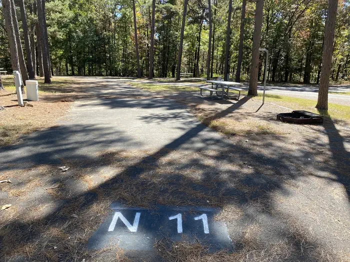 N11