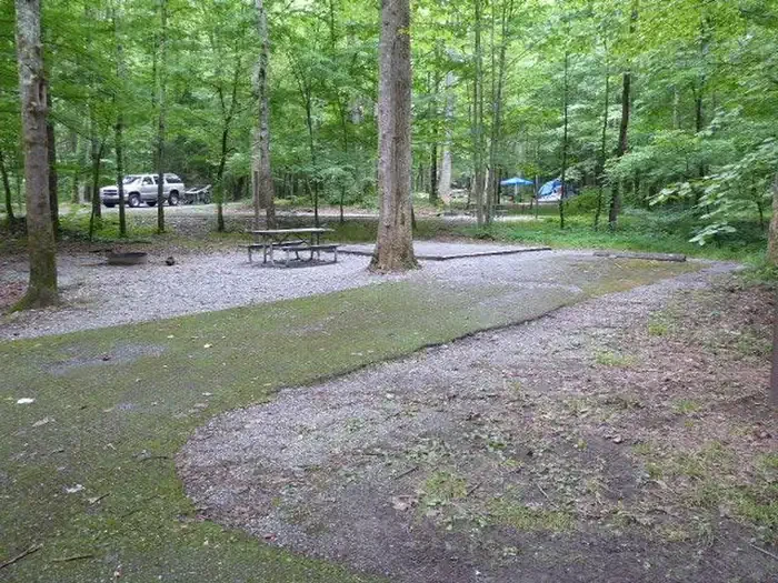 K14