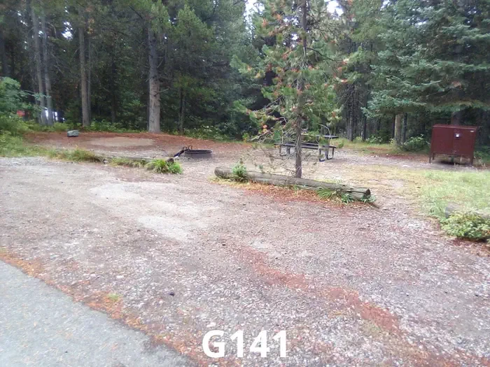 141