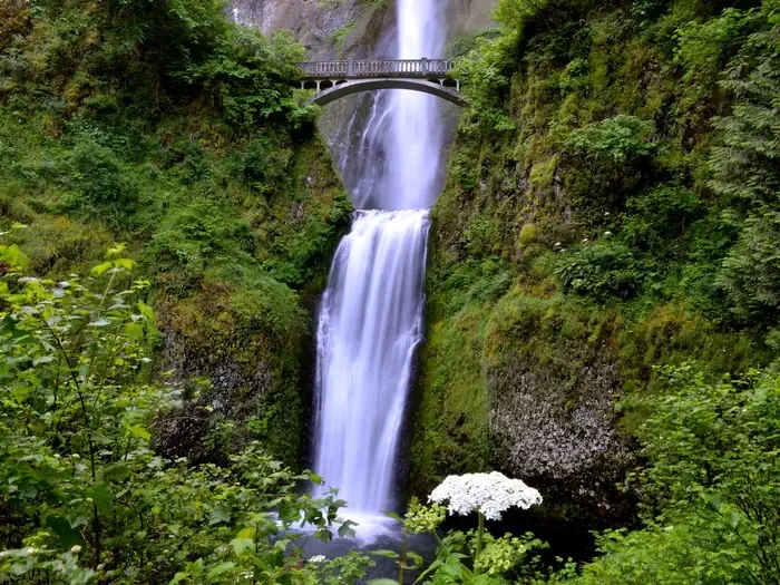 (Deactivated) Multnomah Falls Timed Reservation Tickets