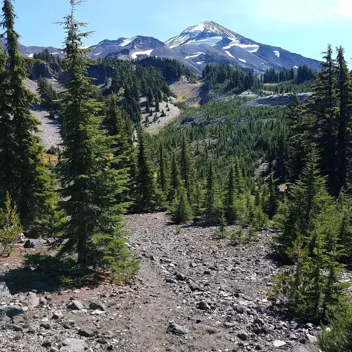 Three Sisters - Obsidian Trailhead