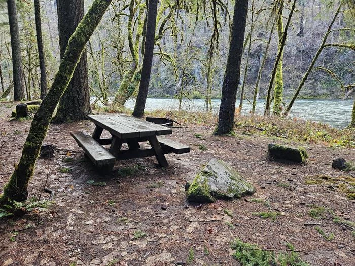 Island Campground