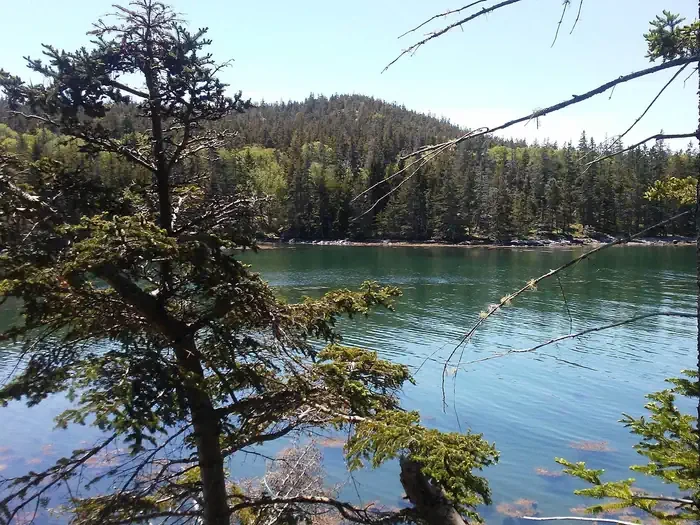 Duck Harbor Campground