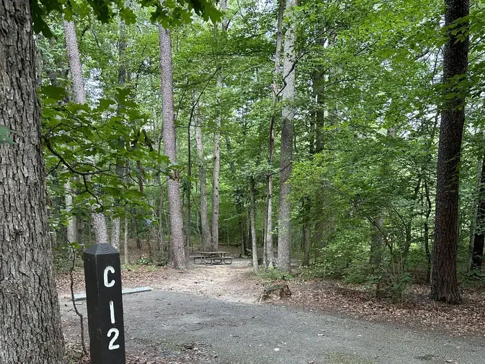 C12