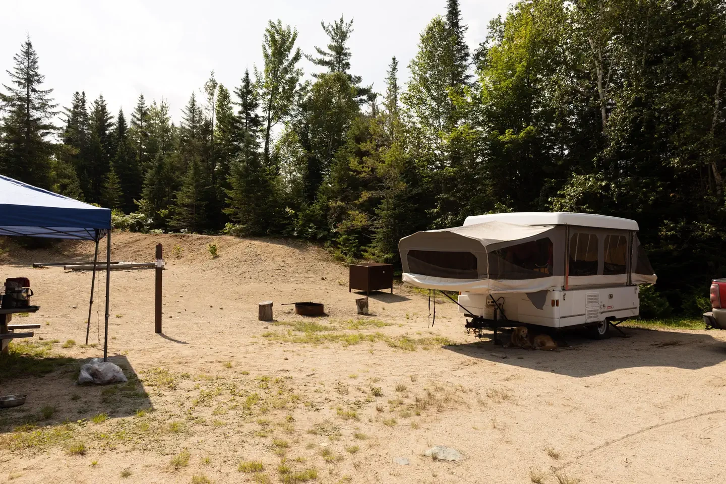 Sandbank Stream Site 3