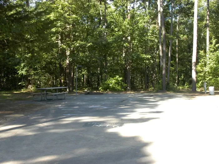 N16