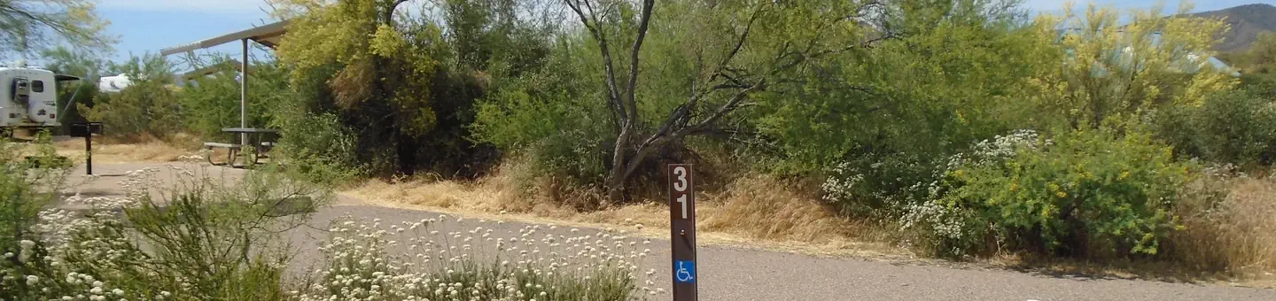 31