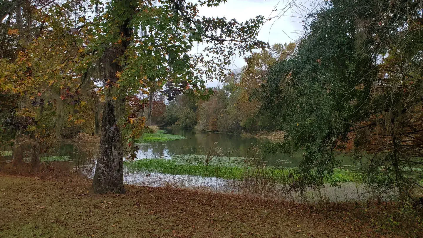 Hales Landing Park