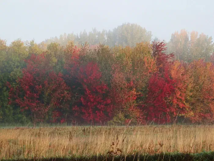 Missisquoi National Wildlife Refuge