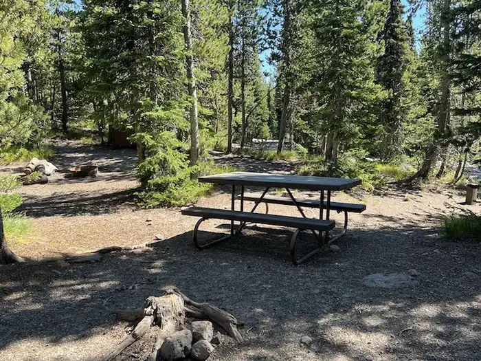 Lewis Lake site #83