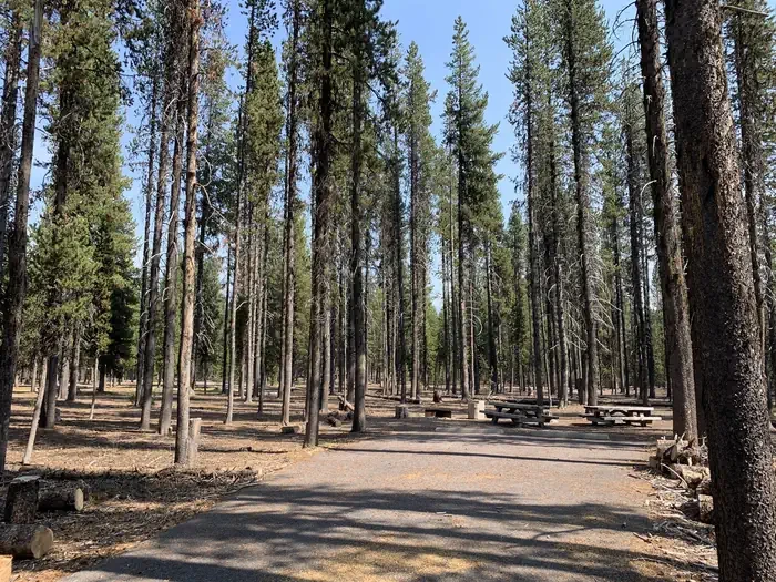 E15
