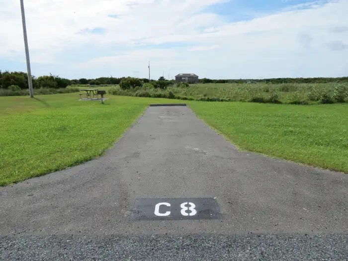 C008