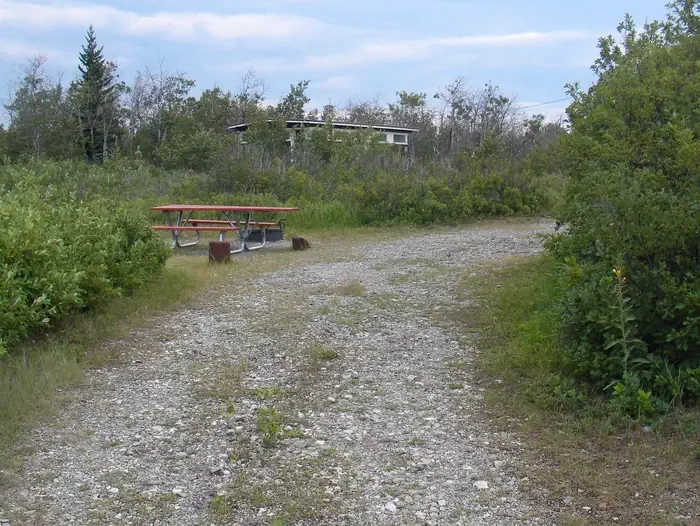 B55