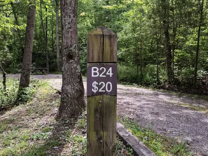 24