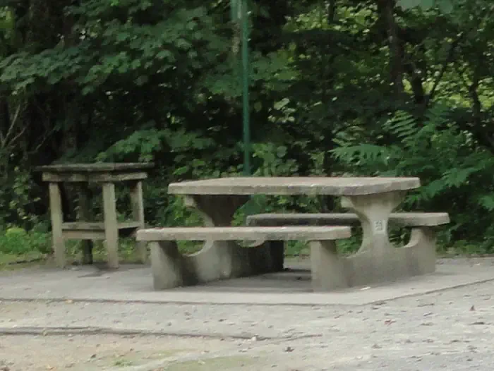 59