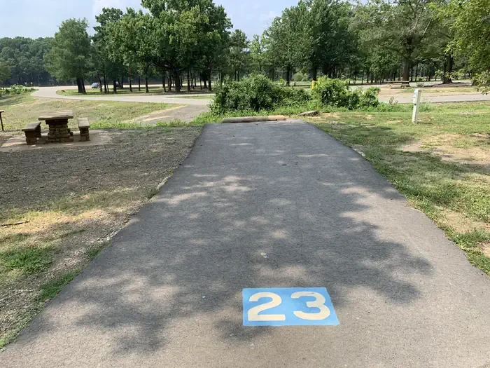 23