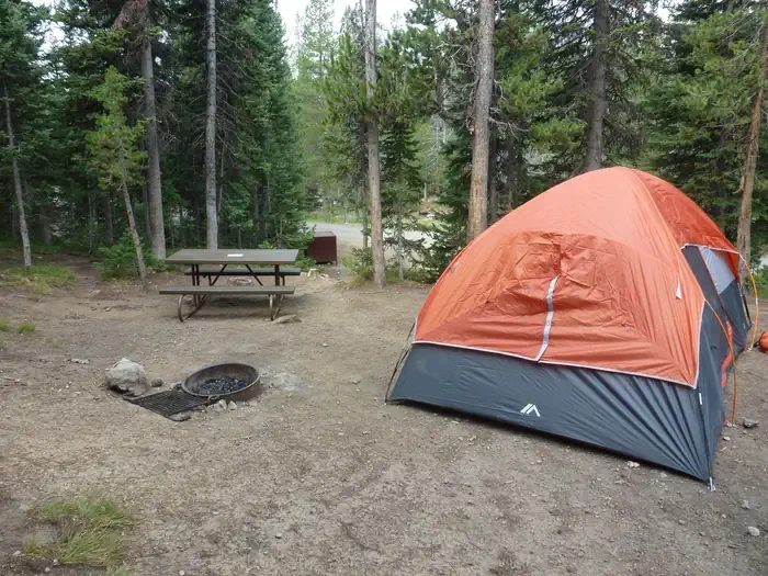 Lewis Lake site #20