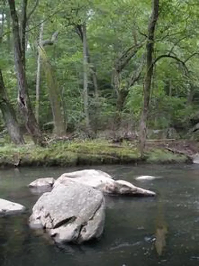 Rock Creek Park Group Picnic Areas (DC)