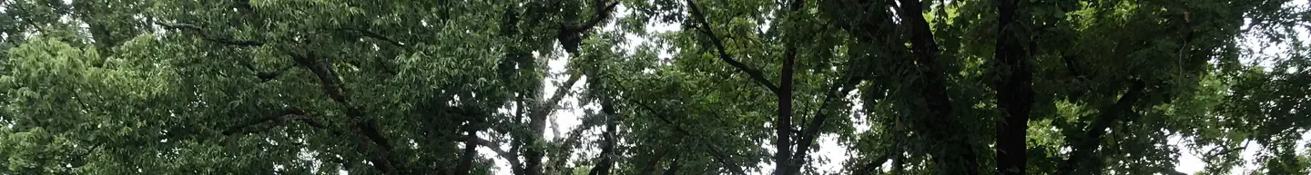 A14