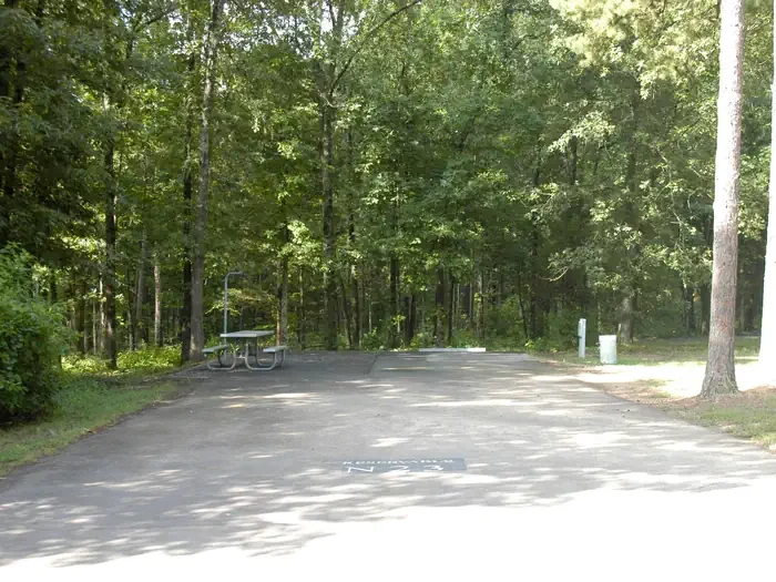 N23