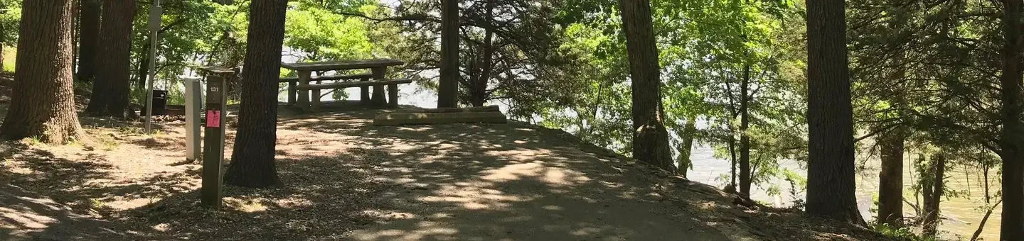 131
