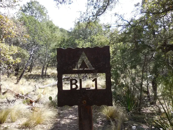 Blue Creek 1