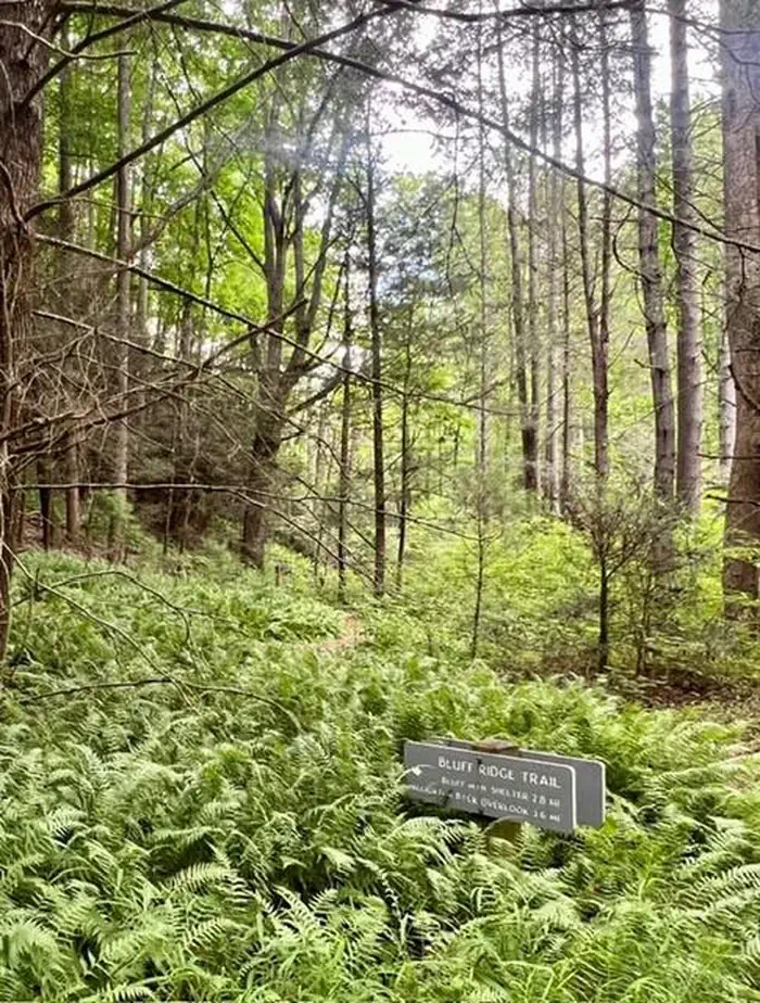 Basin Cove Backcountry Camping