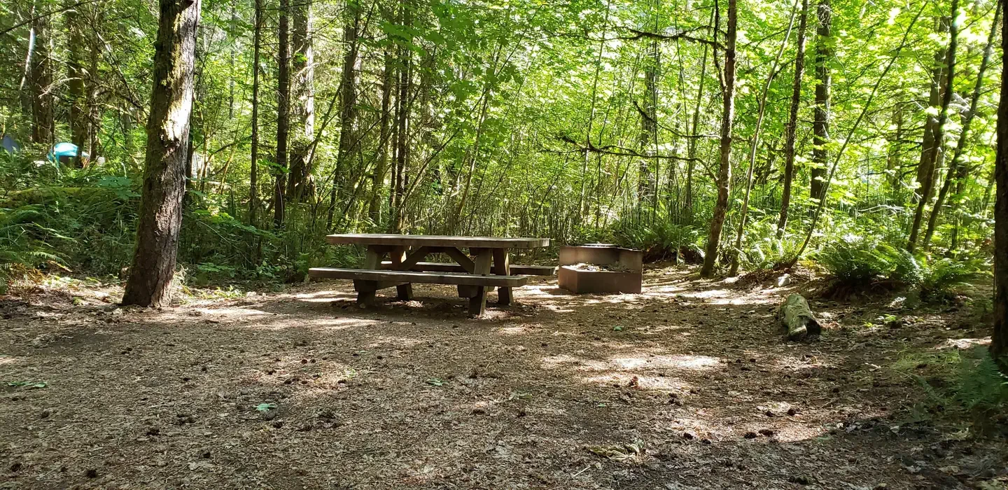 Horseshoe Bend Campground (or)