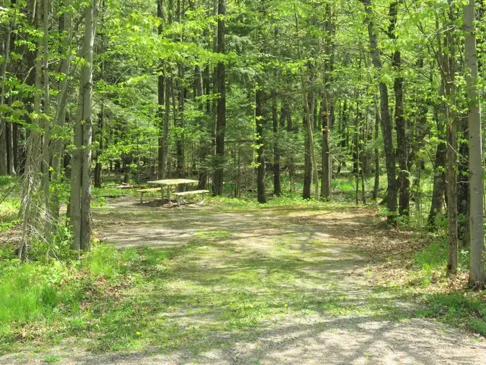 S78