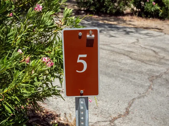 Site 5