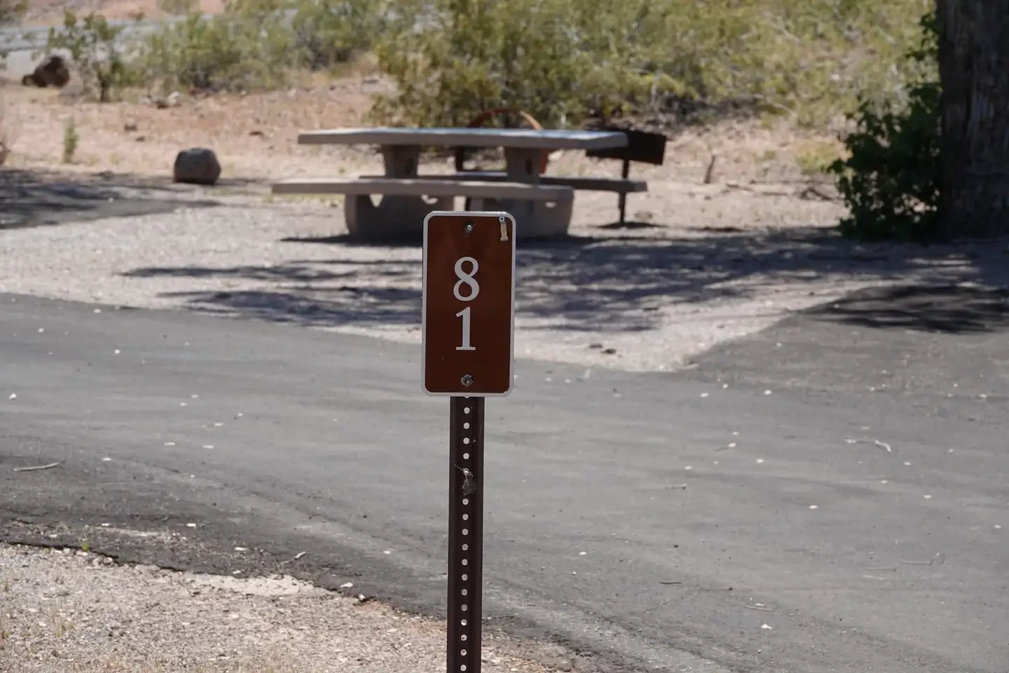 Site 81