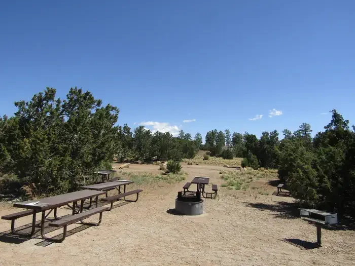 1 (Group Site)