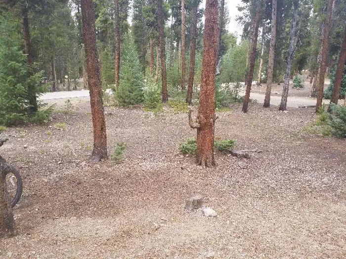041