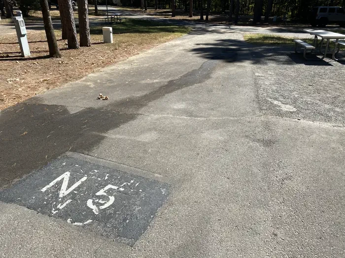 N05