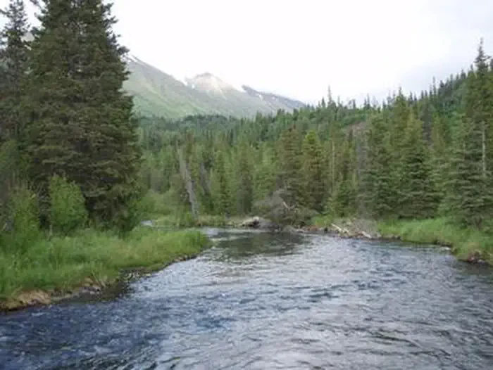 Aspen Flats Cabin (Chugach National Forest, AK)