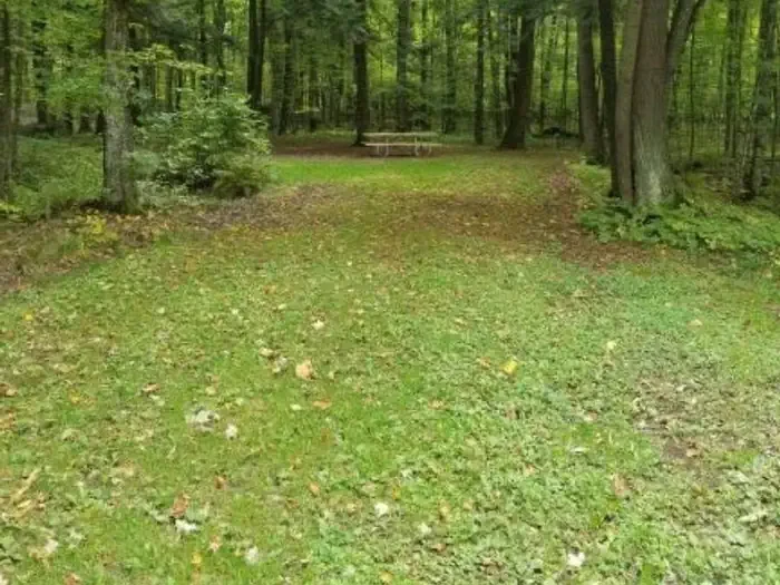 S45