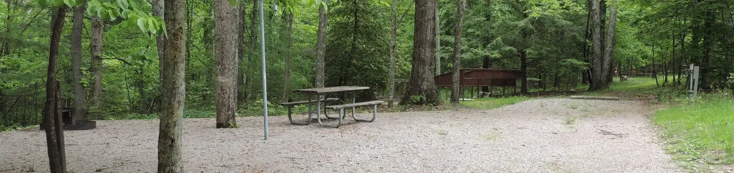 2 (with new paddock)