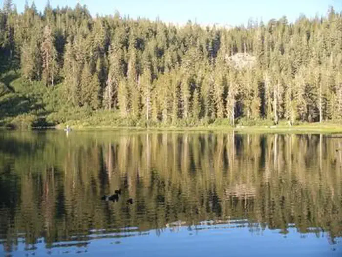 Twin Lakes Campground