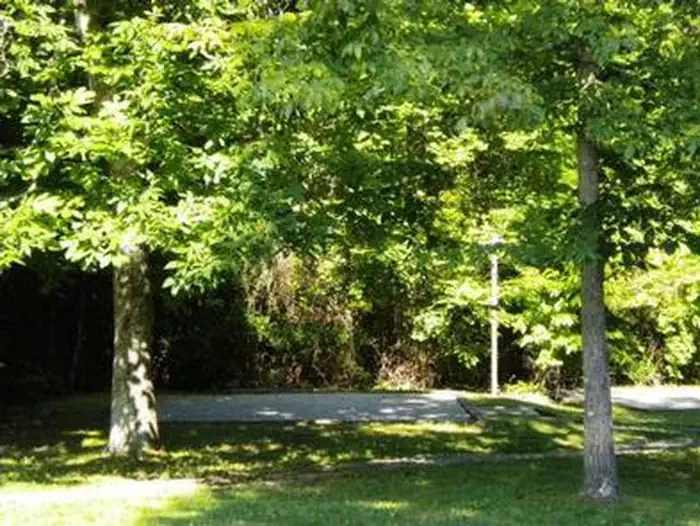 Craigs Creek Group Area