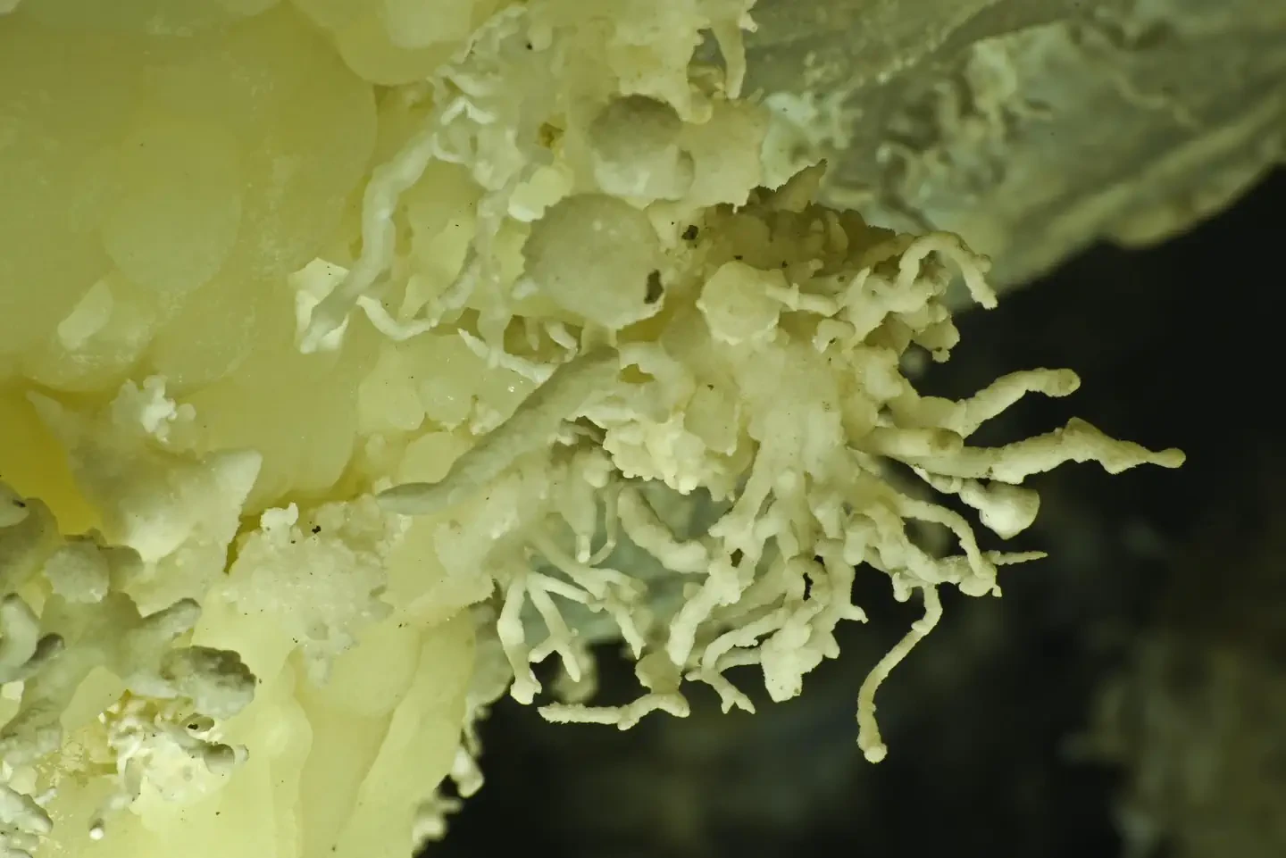 Cave Tour