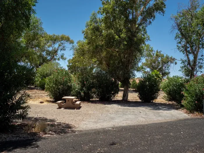 Site 4