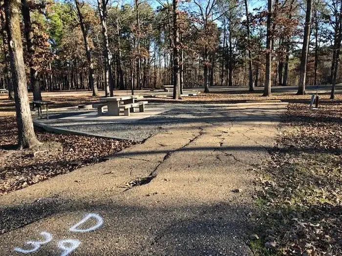 D39
