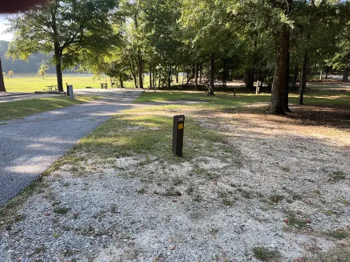 036