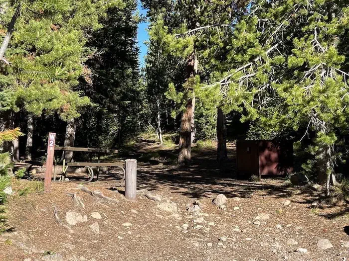 Lewis Lake site #2