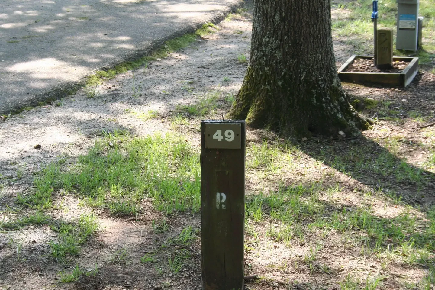 049